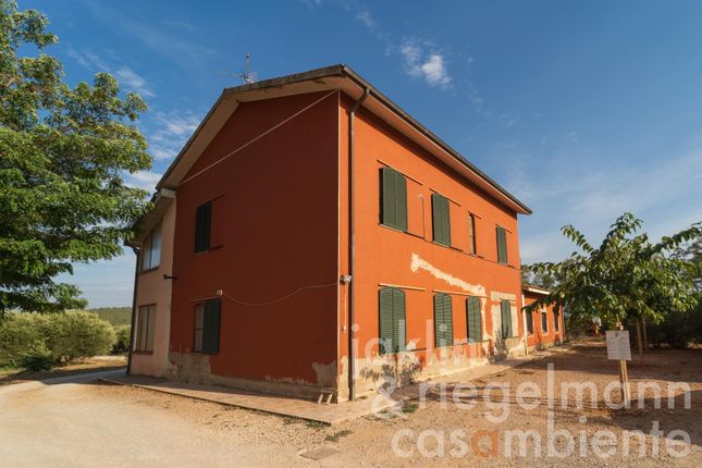 Farm for sale in Italy, Tuscany, Grosseto, Grosseto