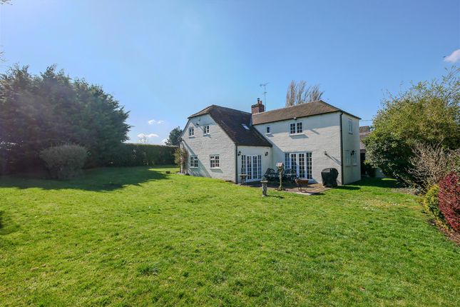 Rear Elevation