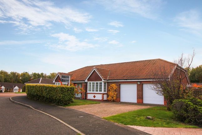 Thumbnail Bungalow for sale in North Ridge, Whitley Bay