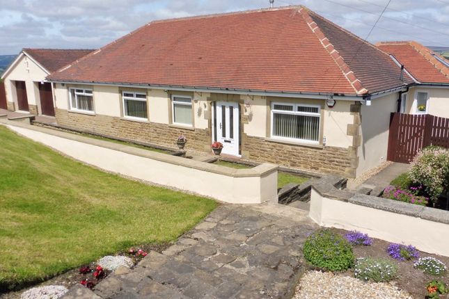 Thumbnail Detached bungalow for sale in Wrosecliffe Grove, Bradford
