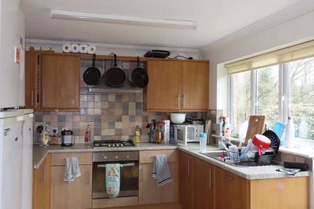 Room to rent in Danes Road, Exeter