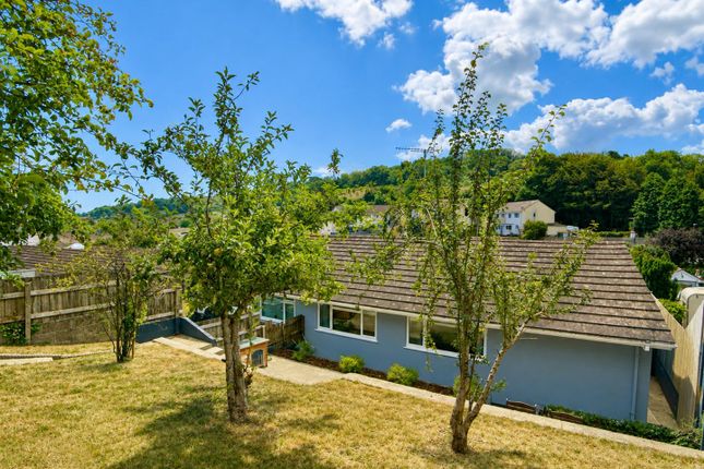 71, Chestnut Drive, Brixham photo 4
