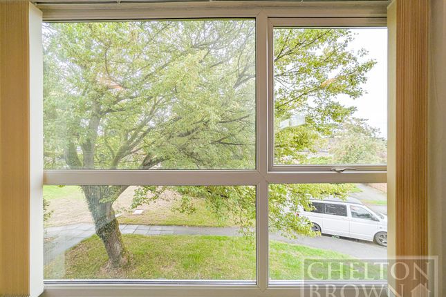 1, Lone Pine Court, Northampton photo 3