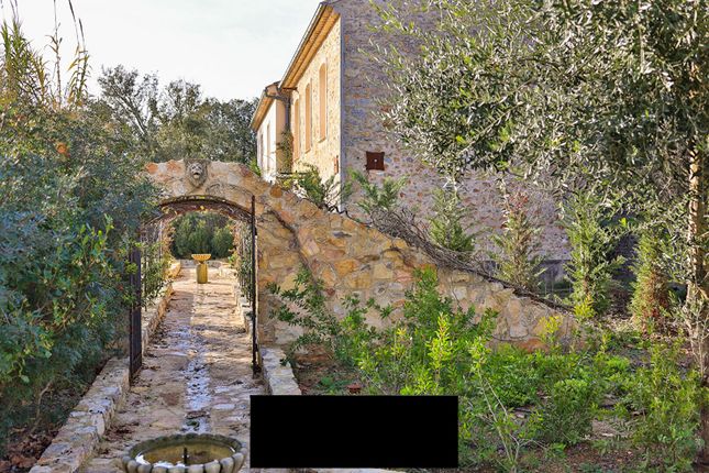 Thumbnail Commercial property for sale in Le Thoronet, Var Countryside (Fayence, Lorgues, Cotignac), Provence - Var