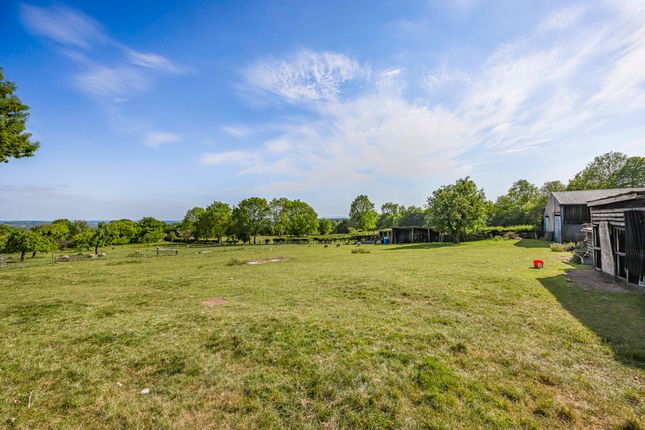 Paddock Land