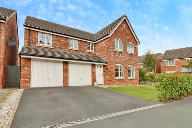 User_Edited_Photo-c53Bfa7E_User-Edited-5A958E3A-34