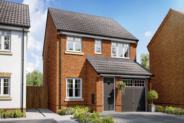Thumbnail Detached house for sale in "The Piccadilly" at Burwell Road, Exning, Newmarket