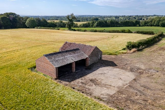 Dji_0553-Hdr.Jpg