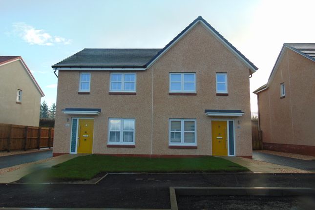 Thumbnail Semi-detached house to rent in Cowdenhead Crescent, Armadale, Bathgate