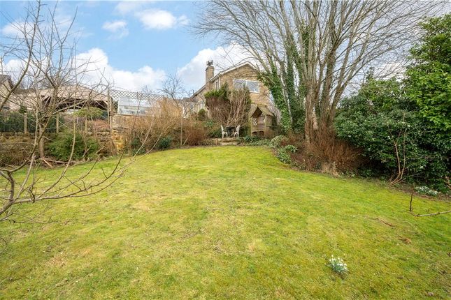 Rear Lawned Garden