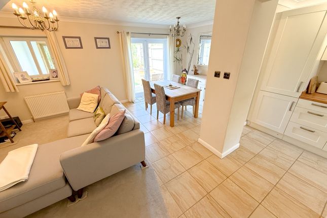 Charlottes Oak,6, Newton Abbot photo 4