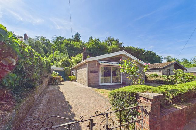 Willowbank, Swansea photo 5