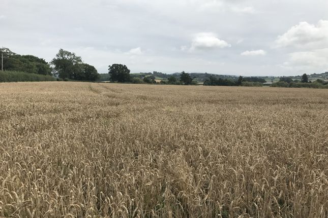 Land for sale in Cheltenham, Gloucestershire