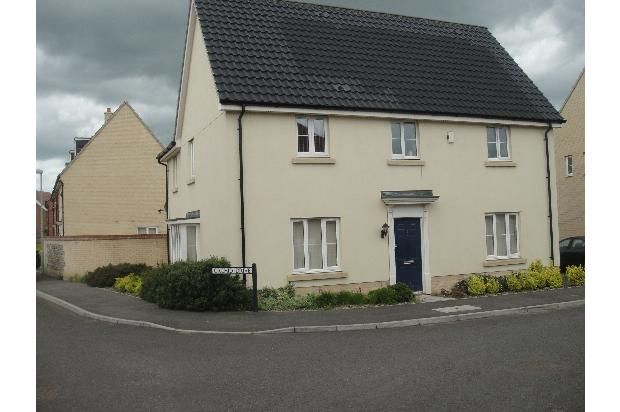 Thumbnail Detached house to rent in Orchid Drive, Red Lodge, Bury St. Edmunds