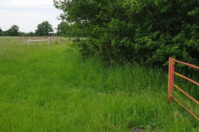Land for sale in Hall Lane, Dickleburgh, Diss