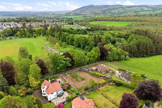 Keithleyhead Plot, Auchterarder photo 4
