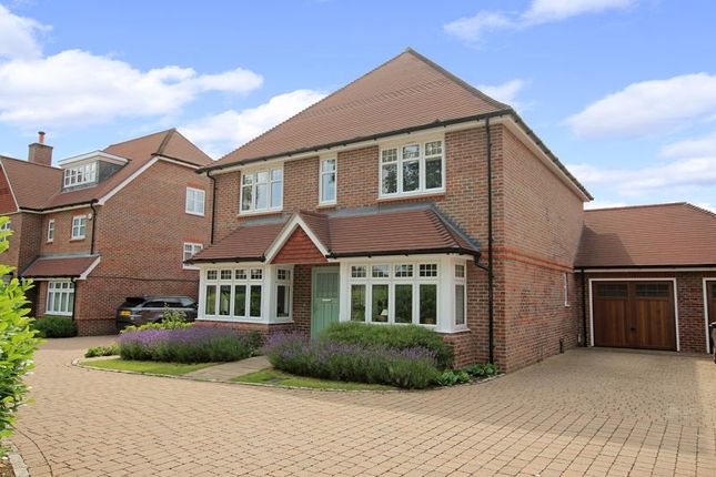 Thumbnail Detached house for sale in Colley Gardens, Cranleigh