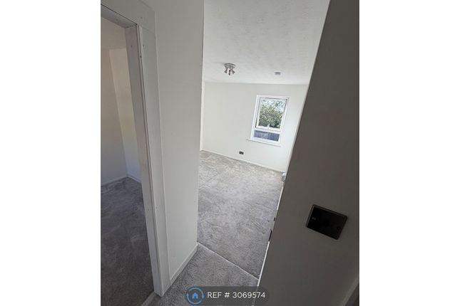 Mearns Place, Chelmsford photo 2