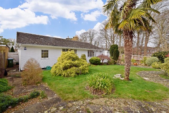 Detached bungalow to rent in 8 Alexander Close, Aldwick, Bognor Regis, West Sussex