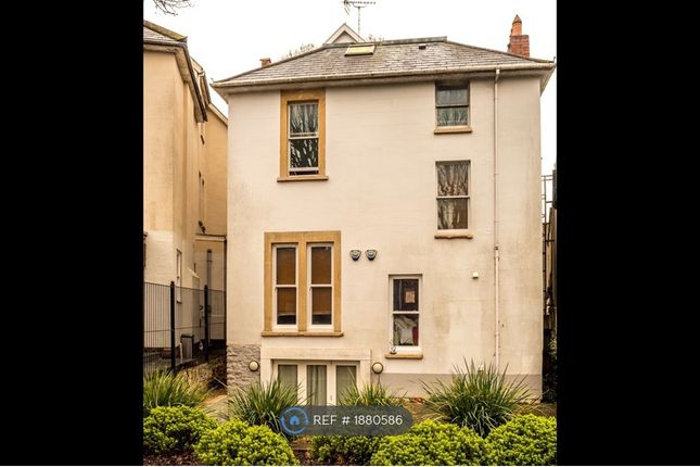 Basement Flat, Queens Avenue, Bristol photo 3