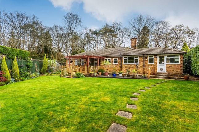 Detached bungalow for sale in Ashurst Drive, Boxhill