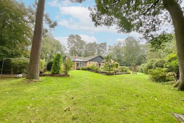 10 Derwent Drive, Market Drayton photo 4