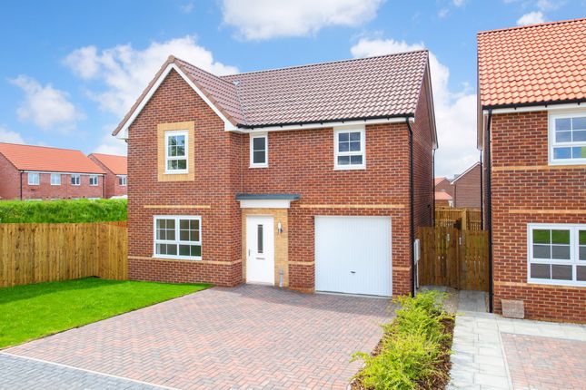 Detached house for sale in "Ripon" at Coxhoe, Durham