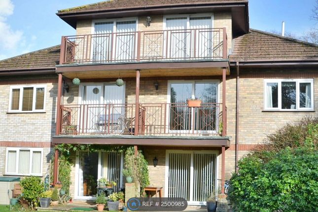 Thumbnail Flat to rent in Inglewood, Parkstone