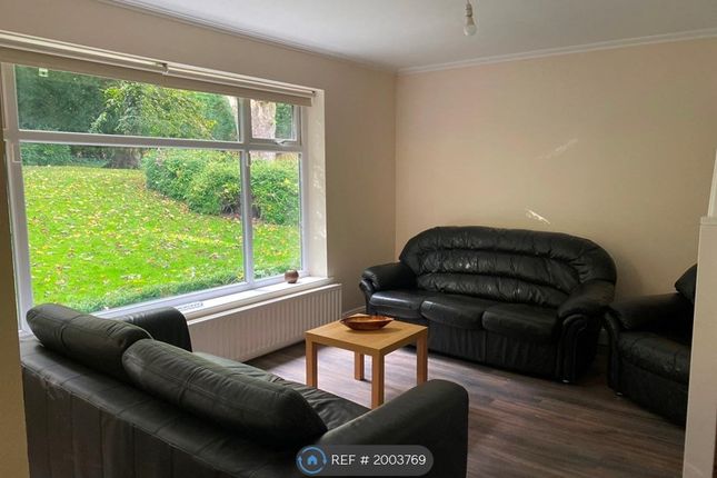 Room to rent in Keighley Road, Bradford