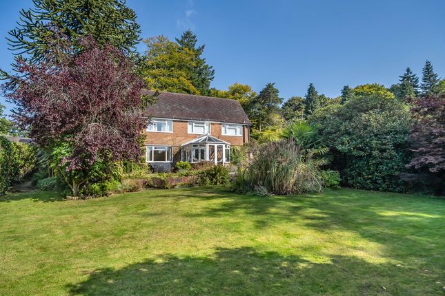 Lark Rise,, Tower Road, Surrey photo 3