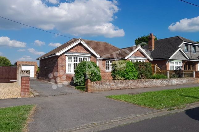 Thumbnail Detached bungalow to rent in Wraxhill Road, Yeovil