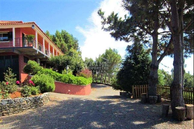 Thumbnail Villa for sale in Santa Cruz, Portugal