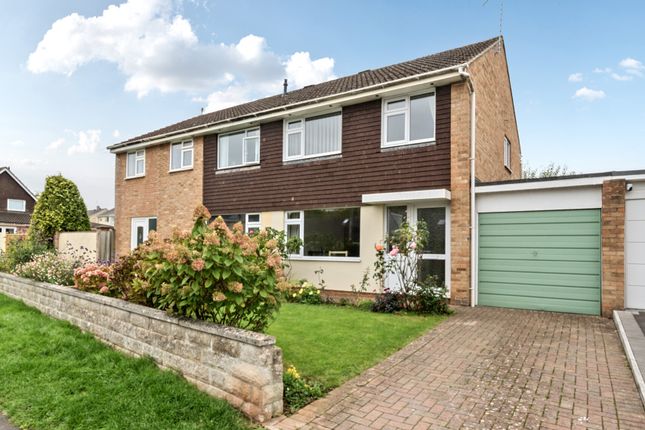 1366031-1-68E8F9c...