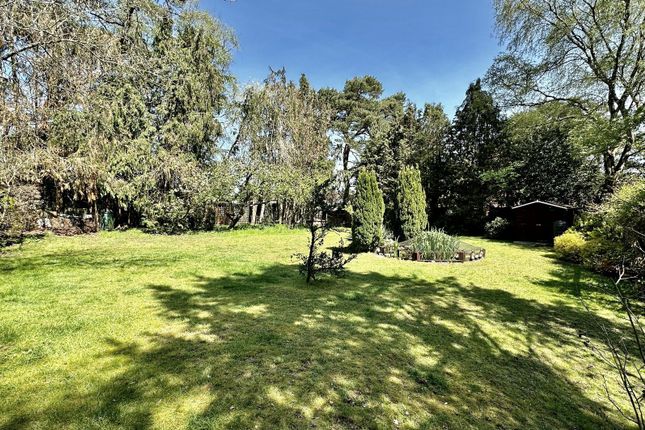 72 Sandy Lane, St Ives, Ringwood photo 3