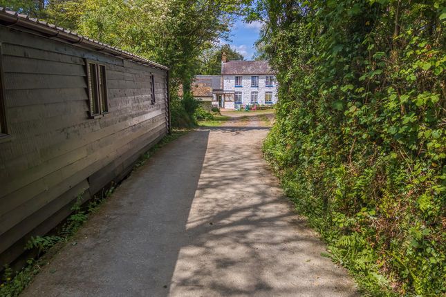 View From Bunkhouse To Main House