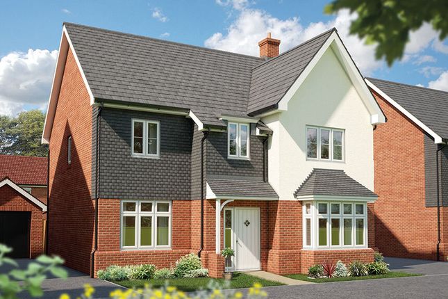 Thumbnail Detached house for sale in "The Birch" at Hadham Road, Bishop's Stortford