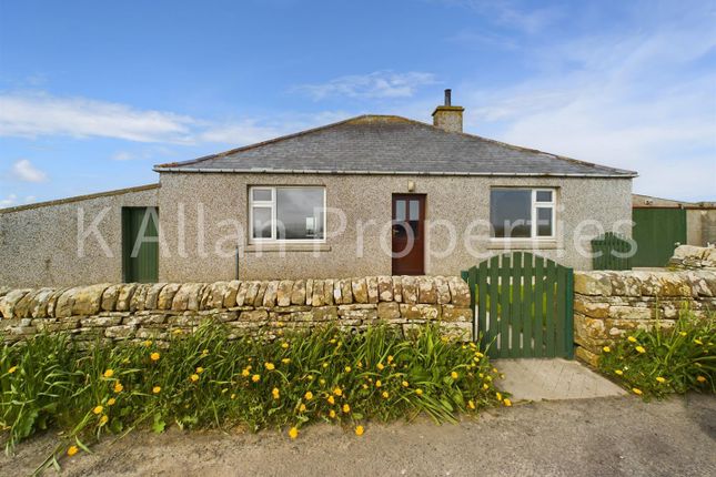 Thumbnail Detached bungalow for sale in Haygam, Stronsay, Orkney