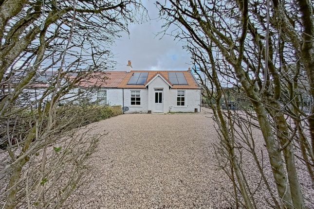 Cottage to rent in Kilmany, Cupar, Fife