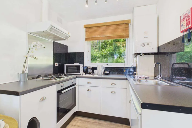 Coastal View Lodge, Watermouth, Ilfracombe photo 4
