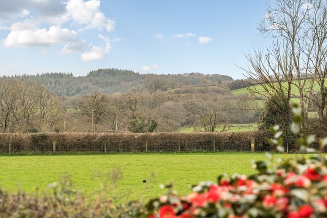 7, Chapple Cross, Newton Abbot photo 2