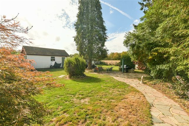 Middle Street, Betchworth photo 2