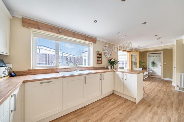12, Westend, Cam photo 4