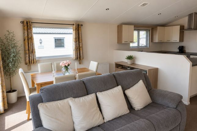 Willerby Clearwater, Butt Lane, Great Yarmouth photo 3