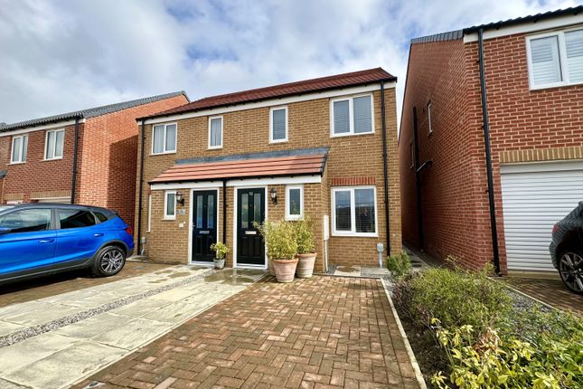 Thumbnail Semi-detached house for sale in Baneberry Drive, Hillfield Meadows, Sunderland, Durham