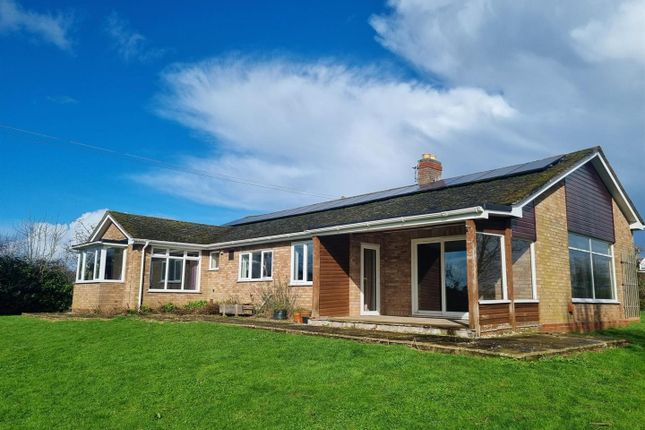 Thumbnail Detached bungalow to rent in Stoney Ley, Broadwas, Worcester