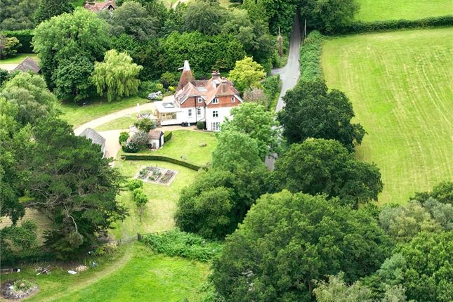 Limberlost Farm,, Swife Lane, Heathfield photo 2