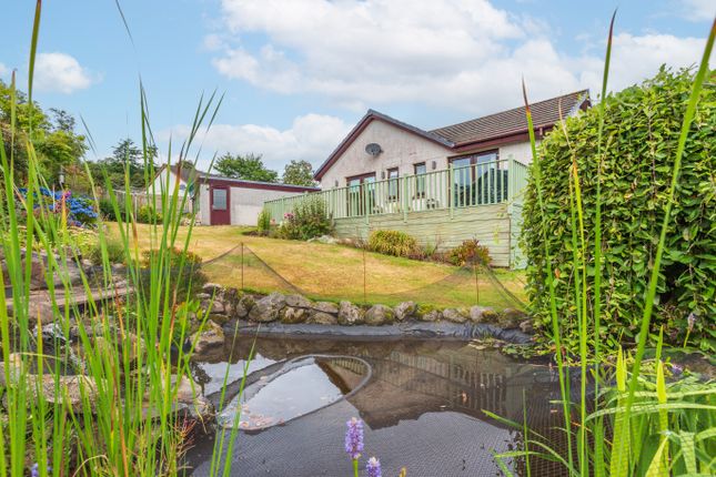 5, Rounall Avenue, Dalbeattie photo 4