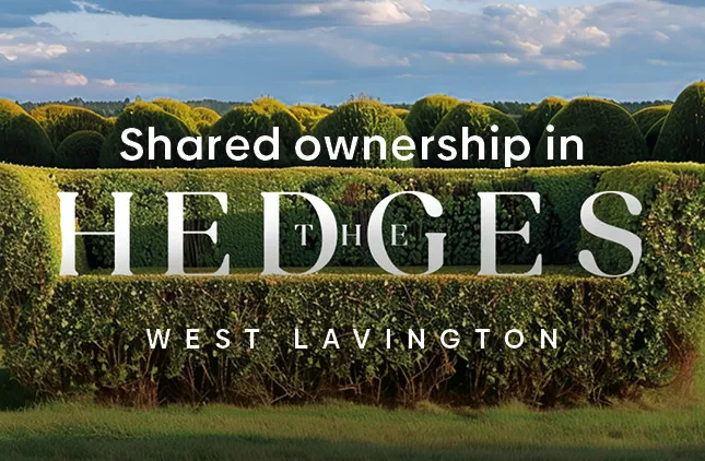 The Hedges
