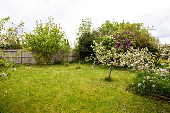 Semi-detached bungalow for sale in Bramble Hill, Alresford