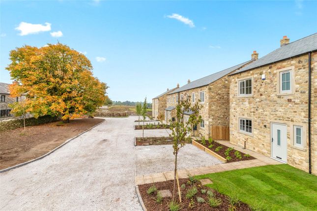 Harebell Cottage, Austwick photo 4